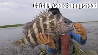 CATCH amp COOK Sheepshead POOR MAN’S LOBSTER [upl. by Prader414]