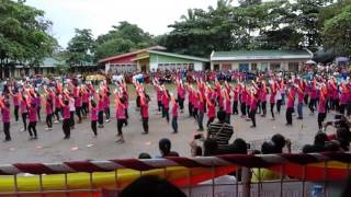 grade 5 20162017 macabalan es field demonstration [upl. by Noisla]