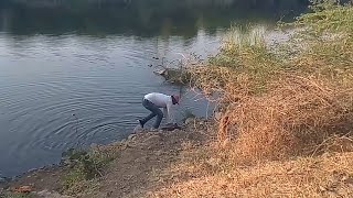 Big Size Snakehead fish hunting Best moment 🎣 amazing samal fishing 😱😱 [upl. by Erodasi]