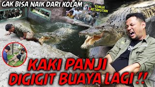 SEMUA ORANG JADI SAKSI PANJI KEJEBAK DI KOLAM BUAYA KAKI JADI KORBAN LAGI ‼️ [upl. by Ranite494]