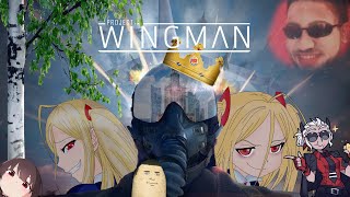 Project Wingman  Samoloty typu śmieszne tej [upl. by Selij]