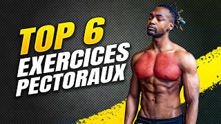 TOP 6 Exercices  PECTORAUX prise de masse rapide ou pour athlètes [upl. by Razal119]