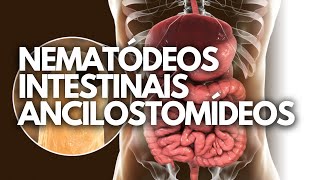 NEMATÓDEOS INTESTINAIS ANCILOSTOMÍDEOS PARASITOLOGIA [upl. by Ahtael]