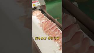 九盈机械多功能切片机JY150E冻鸡胸肉切片MultiFunctional Slicing Machine JY150E – SemiFrozen Chicken Breast Slicing [upl. by Nuris]