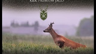 Hunting Roebuck in Germany  The thrill of the chase part 3 [upl. by Raines]