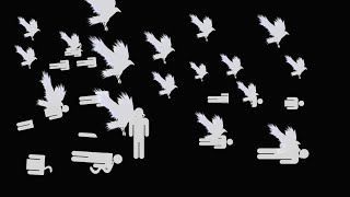 Bombing Birds  Analog Horror [upl. by Jimmie]