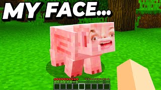 Putting my Face on EVERY Minecraft Mob [upl. by Lyndell]