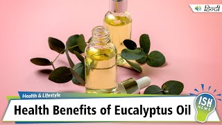 Health Benefits of Eucalyptus Oil [upl. by Kisor]