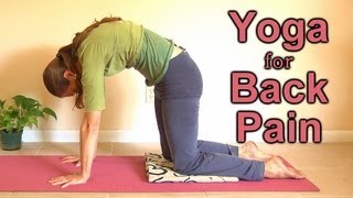 Relaxing Yoga for Back Pain Beginners Home Workout  Mollie Psychetruth Austin [upl. by Septima]