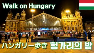 ブダペスト観光温泉 広場 スーパー 電車 マック Travel Vlog Hungary 1 [upl. by Wilkins]