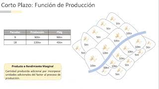 MICROECONOMÍA I  Teoría del Productor a Corto Plazo Rendimientos Marginales Decrecientes [upl. by Amikan]