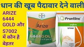 arize 6444 gold और S7002 में कौन है बेहतर कौन देगा धान की ज्यादा पैदावार।।paddy variety 6444एस7002 [upl. by Kenric]