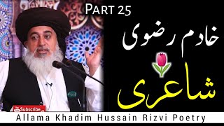 Allama Khadim Hussain Rizvi Poetry Part 25  Best Poetry Collection Of Rizvi Sahib [upl. by Seroka]