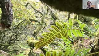 Plantlifes work in temperate rainforests [upl. by Brittain]