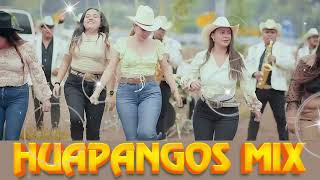 HUAPANGOS Pa BAILAR 🔥Popurri De Huapangos🔥cumbias para bailar 🔥Los Avila La Kumbre Con K Los Rugar [upl. by Auqinom147]