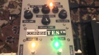 Pete Cornish TES  Tape Echo Simulator [upl. by Elberta]