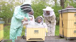 Princess Estelle and Prince Oscar inspect the beehives [upl. by Lodnar]