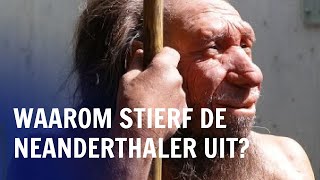 Hoe de neanderthaler op mysterieuze wijze van de aarde verdween [upl. by Finley]