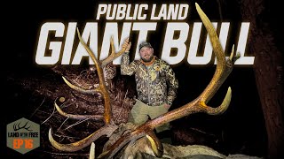 TRENTS BULL OF A LIFETIME LOF4 EP16 [upl. by Nyleaj]