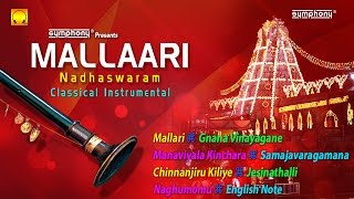 Nadhaswaram Music  Mangala Vadyam  Nadaswaram Thavil Music [upl. by True449]