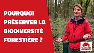 🌳🌲 EP1  L’importance de la biodiversité pour la santé des forêts [upl. by Eissahc742]