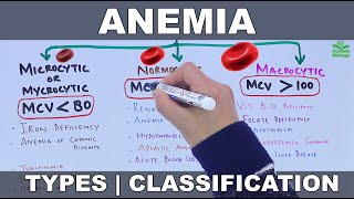 Anemia  Types and Classification [upl. by Otho697]