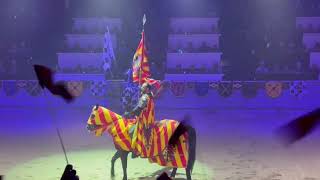 We went to Medieval Times in Dallas Tx [upl. by Nollid812]