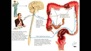 Constipation and the Colon  Mayo Clinic [upl. by Pinelli]