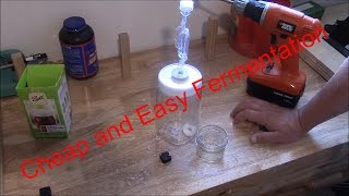 How to Build a Cheap Mason Jar Airlock for Fermenting Vegetables [upl. by Akela]