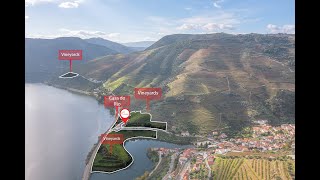 The phenomenal Quinta da Capela Douro Valley Portugal [upl. by Kalinda758]