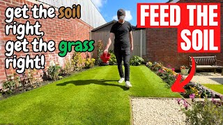 WHY and WHEN should you FEED a newly turfed LAWN [upl. by Budworth823]