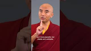 Give the monkey mind a job  Mingyur Rinpoche meditation mentalhealth [upl. by Imer]