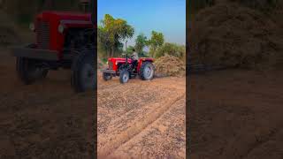 Massey Ferguson tractor 1035 videos short Massey Ferguson massey farming farmer [upl. by Franckot]