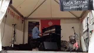 Luca Sestak · Dr James · SummerJazz Pinneberg 2013 [upl. by Leihcim]