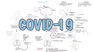 COVID19 a visual summary of the new coronavirus pandemic [upl. by Yerffej]