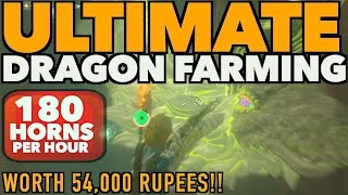 Zelda Breath of the Wild ULTIMATE Dragon Farming Method  180 PER HOUR [upl. by Nyleikcaj]