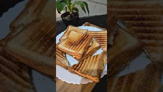 Greek Yogurt Sandwich food healthyfood quickrecipe sandwich shorts simplecooking cheese [upl. by Anav]