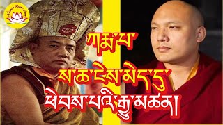 Why previous karmapa visiting many places rinpoche rumtekkarmaekhenpo karmapaugyen thrinly Dorje [upl. by Pierrepont]