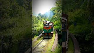 tourists train in sri lanka srilankatravel travelsrilanka srilankarailways [upl. by Shelagh]