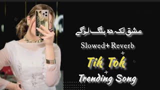 ishq lka da bng loge  عشق لکہ دہ بنگ لوگی Tik Tok New Trending Song Pashto Slowed Reverb Trend [upl. by Kolosick]