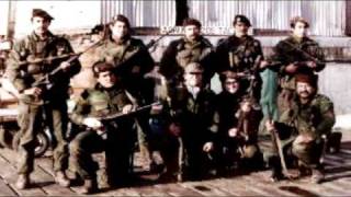 LOS RAMONES de mi patria  Mario Bofill  Julián Zini  MALVINAS 1982wmv [upl. by Deden962]