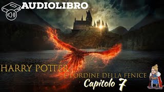 Audiolibro  Harry Potter e lordine della fenice  Lettura e Commento LIVE Cap 7 [upl. by Zehc]