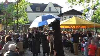 Internationales Dixieland Festival Dresden 2010 DIXIE KINGS [upl. by Ayeki416]