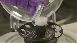 How to Perform a quotReverse Spinquot with an Amicon® Ultra Centrifugal Filter [upl. by Giarg]