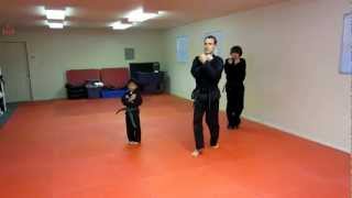 DoSan Tae Kwon Do Form Explained Step by Step [upl. by Juliann471]