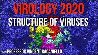 Virology Lectures 2020 4 Structure of Viruses [upl. by Naud]