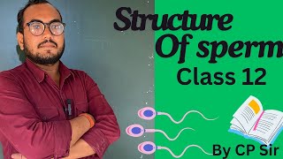 Structure of Sperm By CP Awasthi sir Ssrchemclasses [upl. by Anyak]