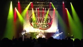 The Winery Dogs Live OSAKA20160415Zeppなんば [upl. by Odin688]