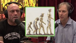 Joe Rogans Skepticism on Evolutionary Theories Stephen C Meyer [upl. by Onitnevuj]