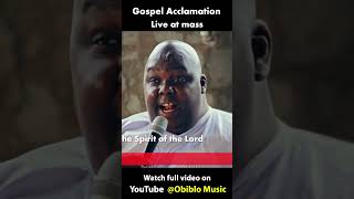 Gospel acclamation heavenly sung at mass  The Great Hallelujah Obiblo Music crew  Frank de tenor [upl. by Nebra]